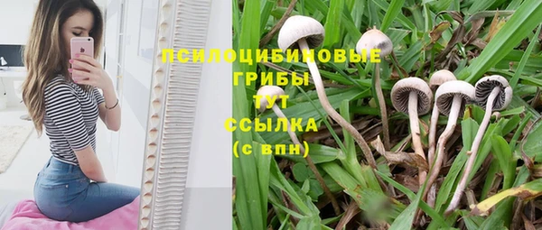 кокс Надым
