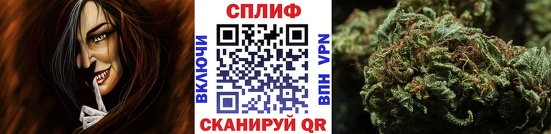 Бошки марихуана MAZAR где можно купить Ачинск